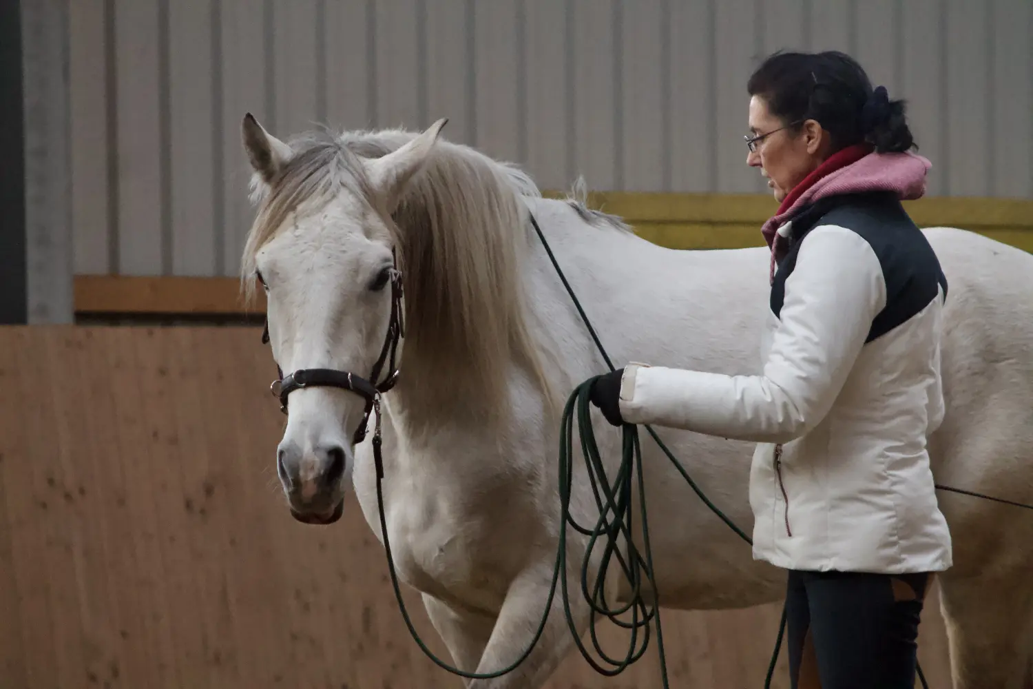 Pferd und Frau Klassische Reitkunst