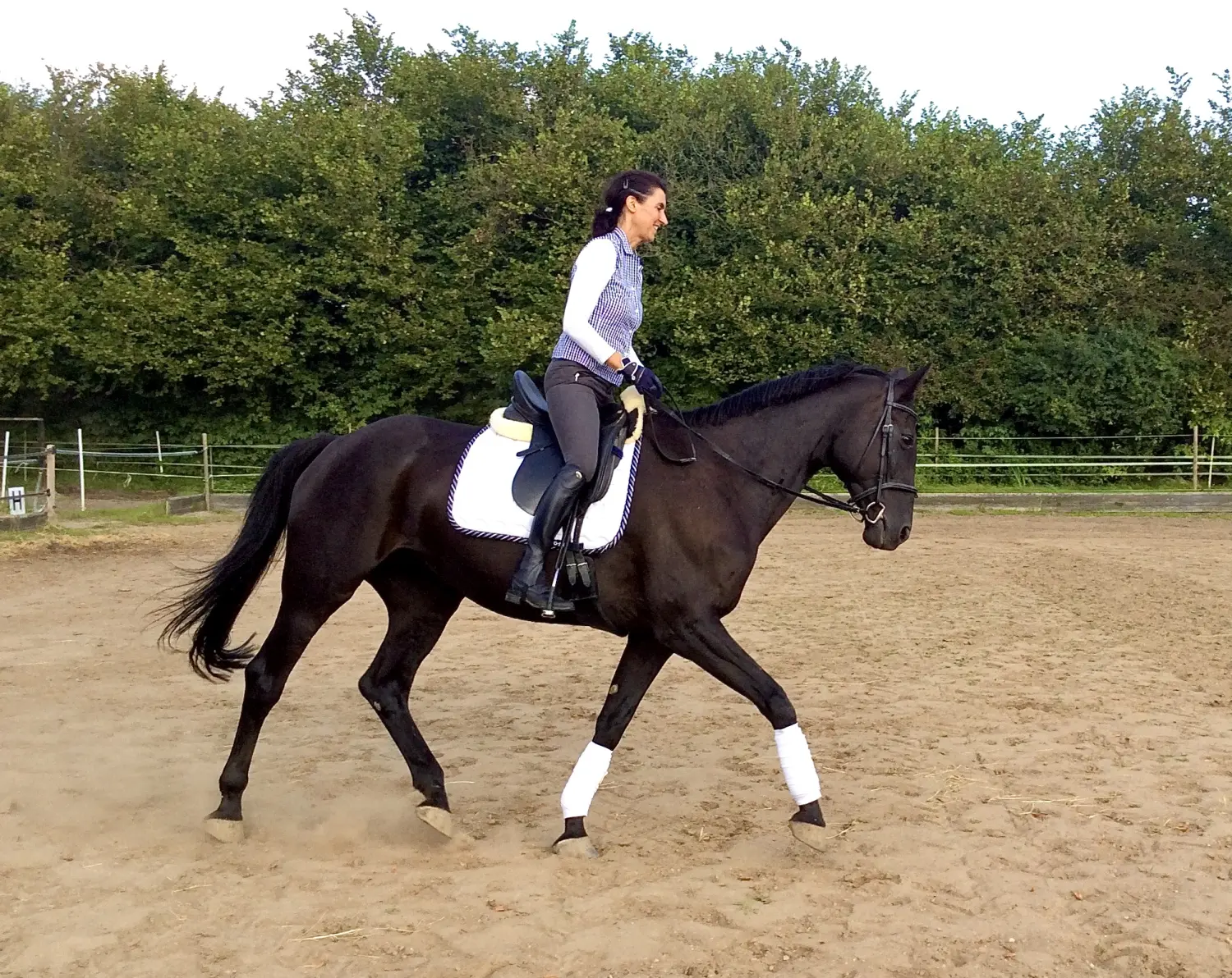 Pferd und Daniela Hubert Klassische Reitkunst