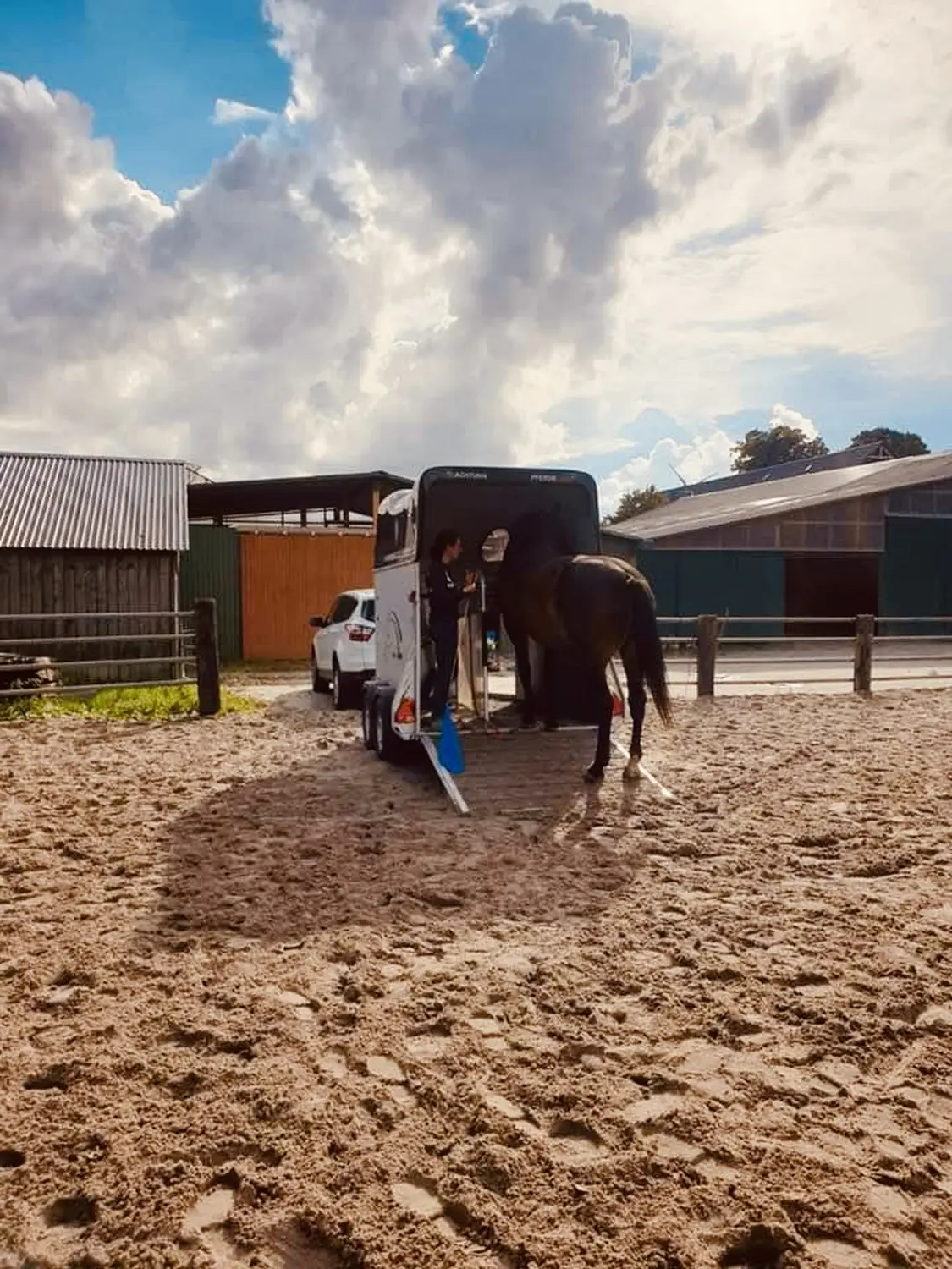 Pferd und Daniela Hubert Klassische Reitkunst