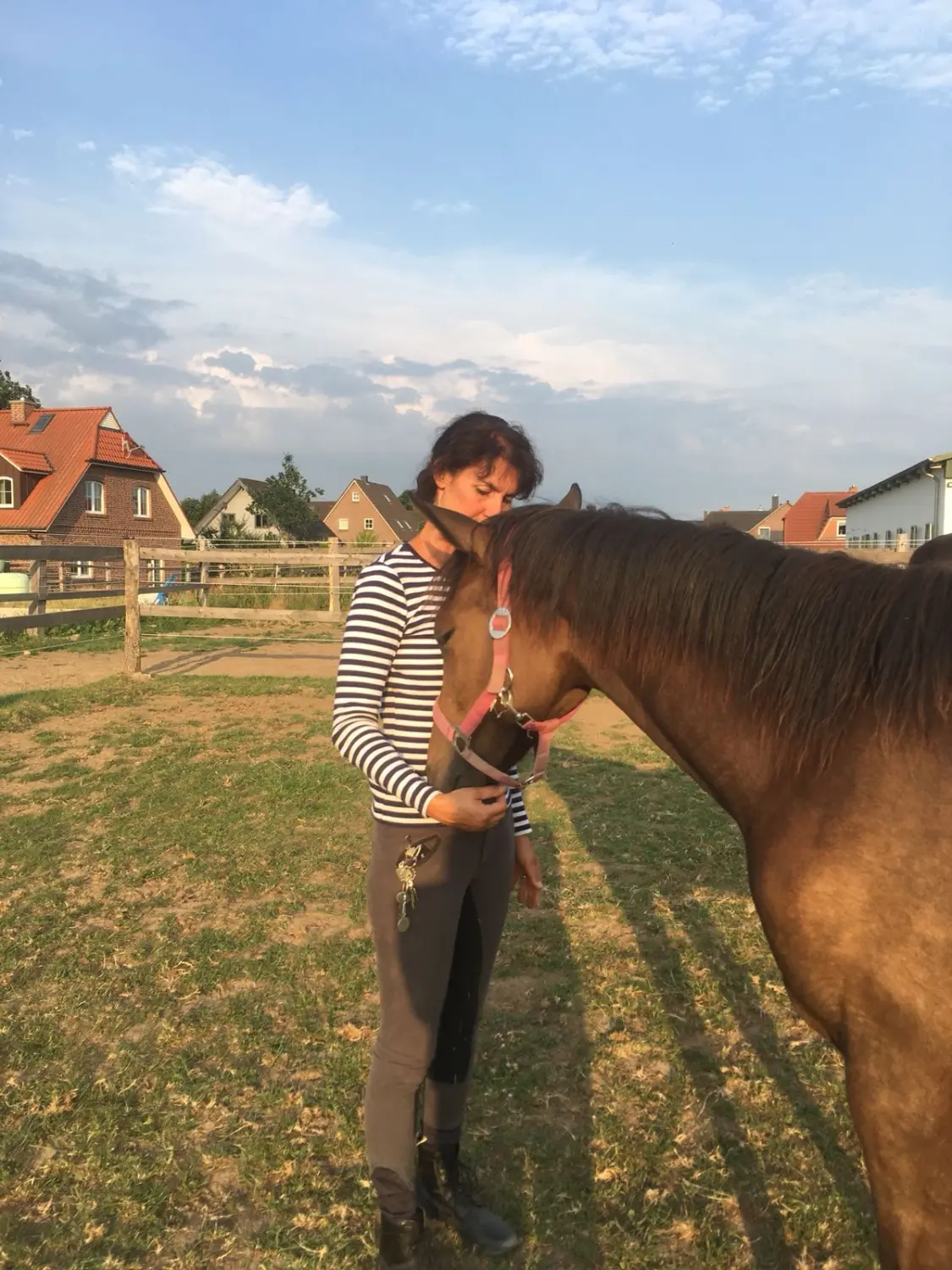 Pferd und Daniela Hubert Klassische Reitkunst