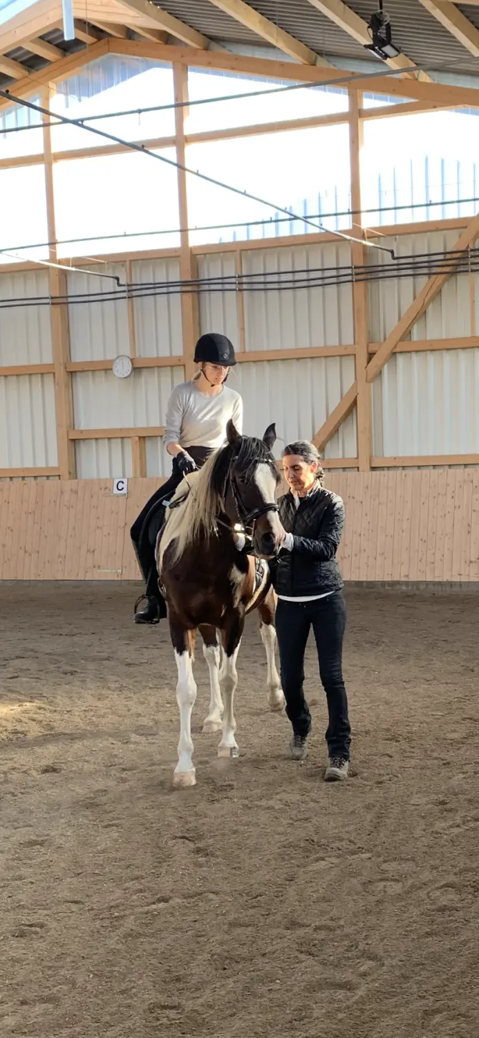 Pferd und Daniela Hubert Klassische Reitkunst