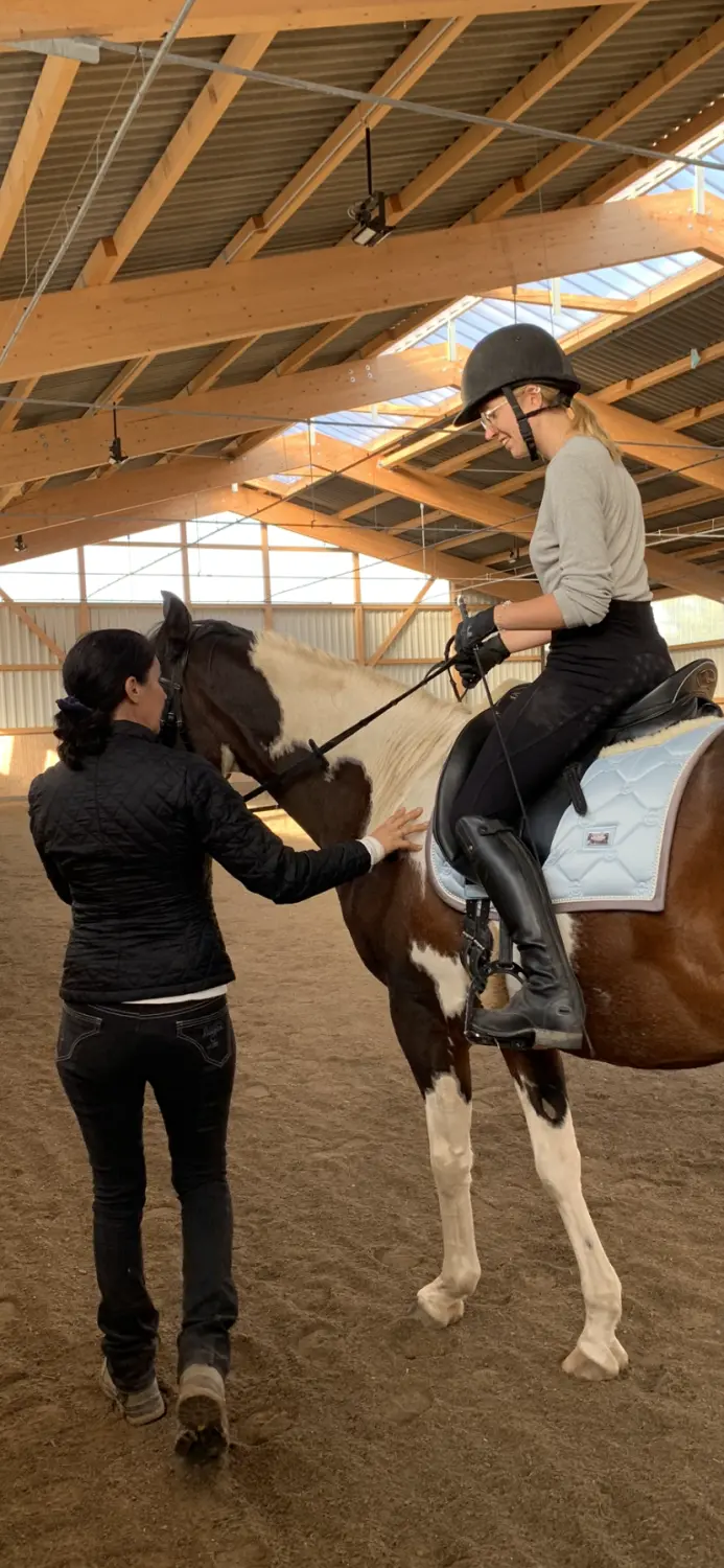 Pferd und Daniela Hubert Klassische Reitkunst