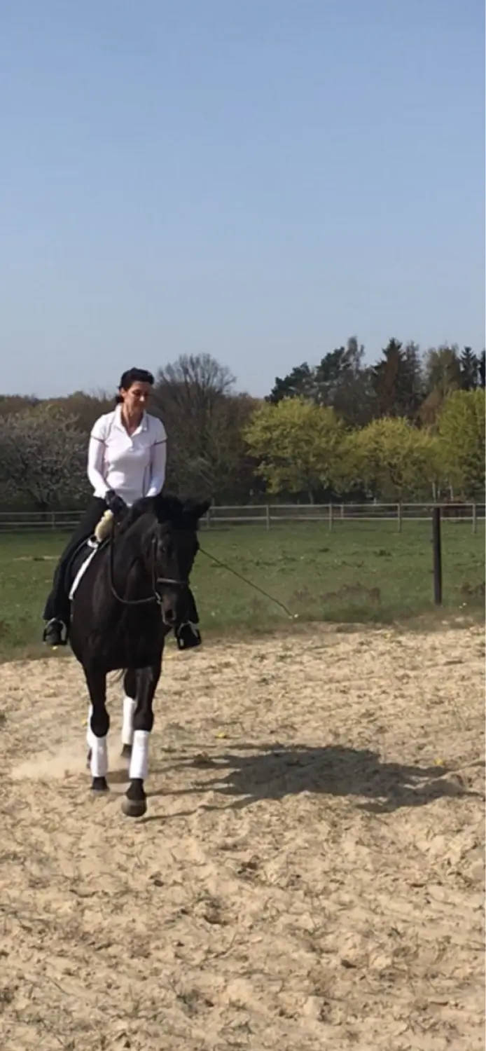 Pferd und Daniela Hubert Klassische Reitkunst