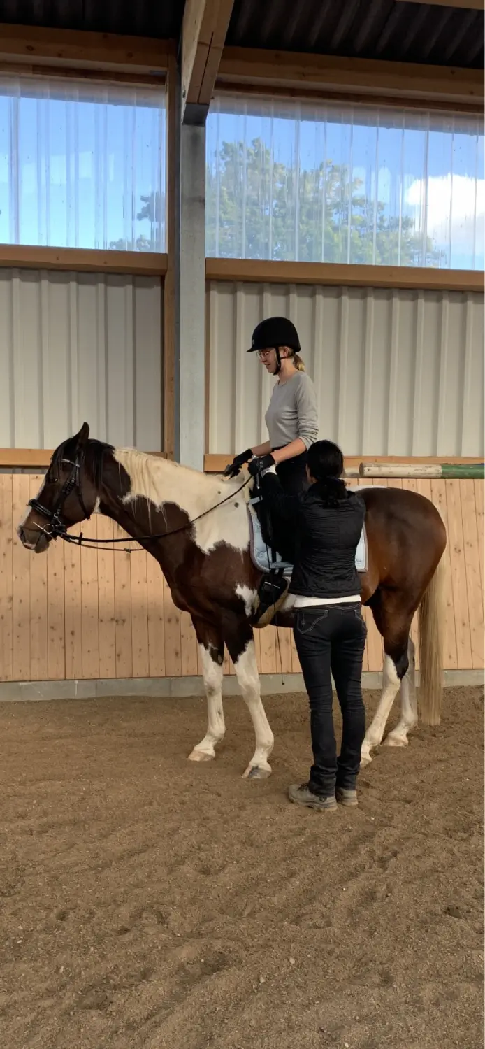 Pferd und Daniela Hubert Klassische Reitkunst