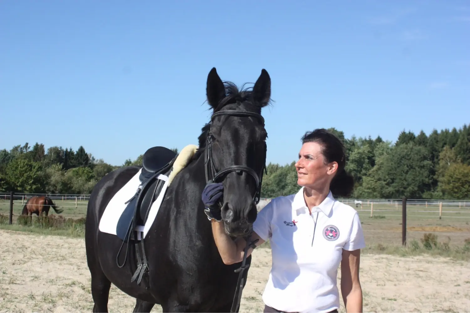 Pferd und Daniela Hubert Klassische Reitkunst