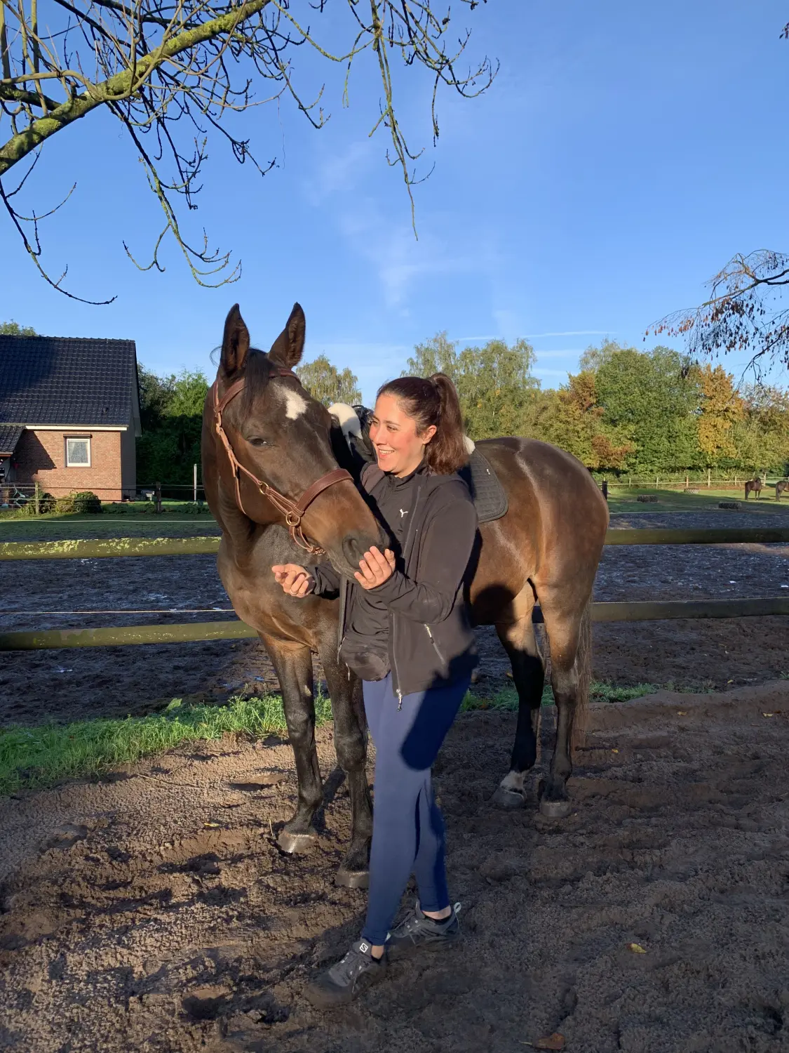 Pferd und Daniela Hubert Klassische Reitkunst