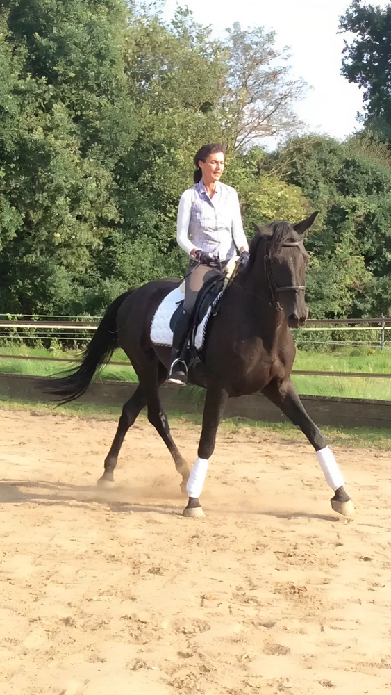 Pferd und Daniela Hubert Klassische Reitkunst